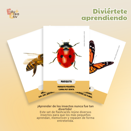 Set de flashcards DIGITAL: Los insectos