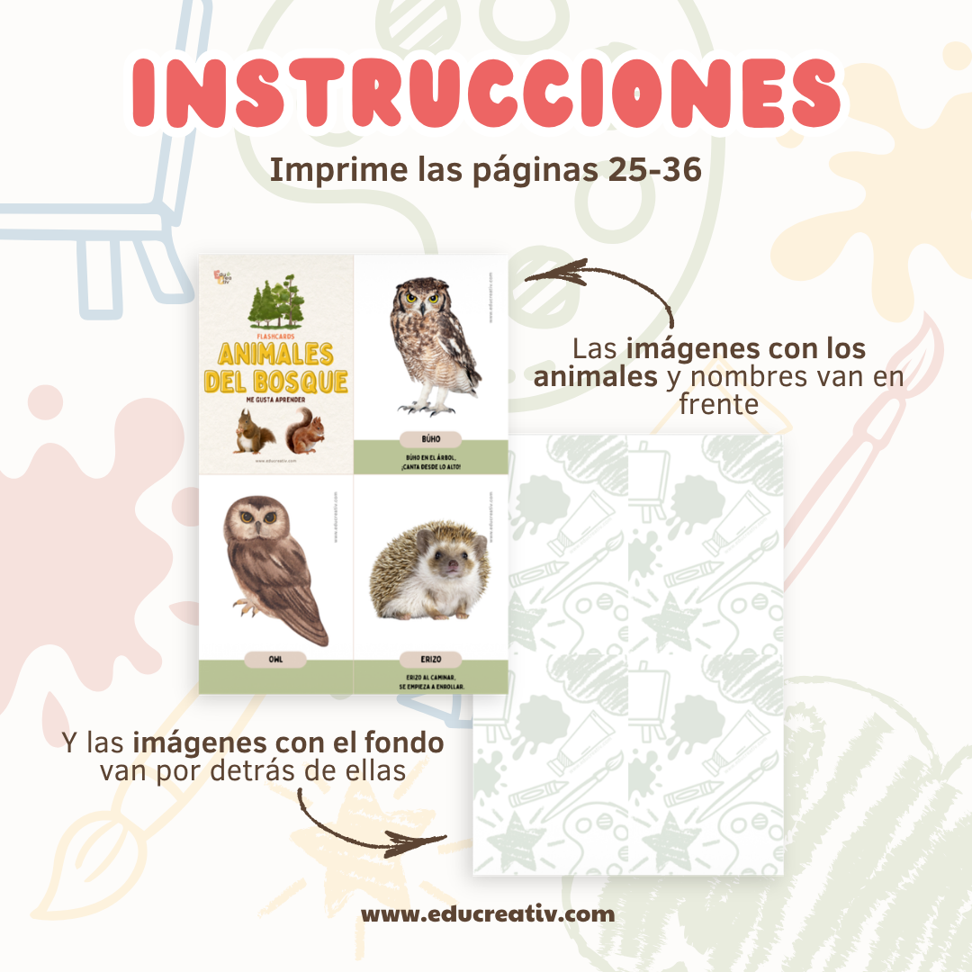 Set de flashcards DIGITAL: Partes del cuerpo