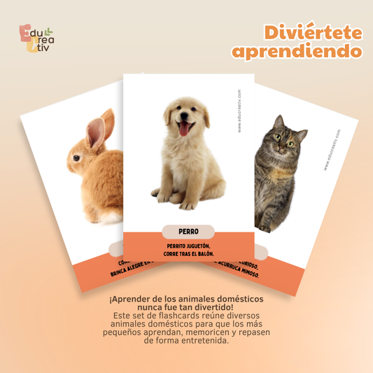 Set de flashcards DIGITAL: Animales domésticos