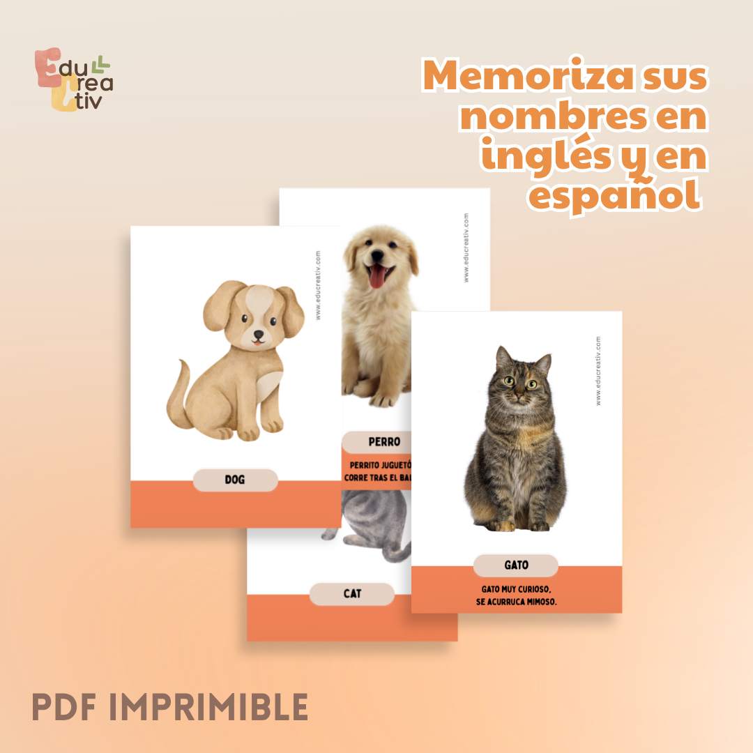 Set de flashcards DIGITAL: Animales domésticos