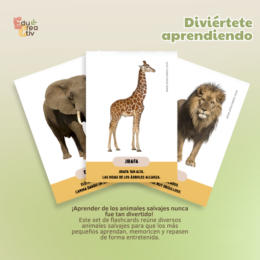 Set de flashcards DIGITAL: Animales salvajes