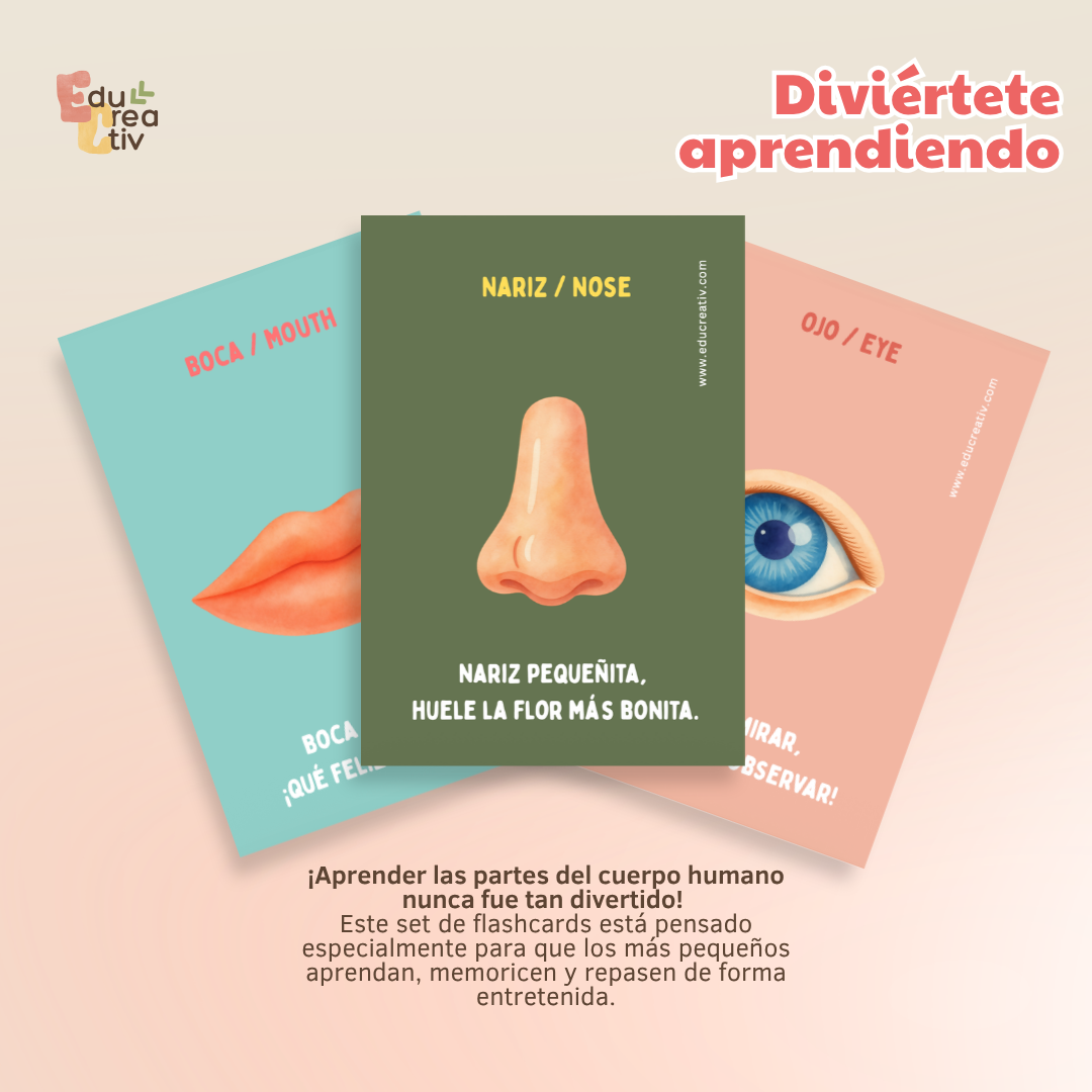 Set de flashcards DIGITAL: Partes del cuerpo