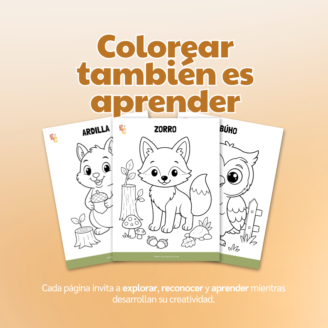 GRATIS — Libro digital "Insectos para colorear"