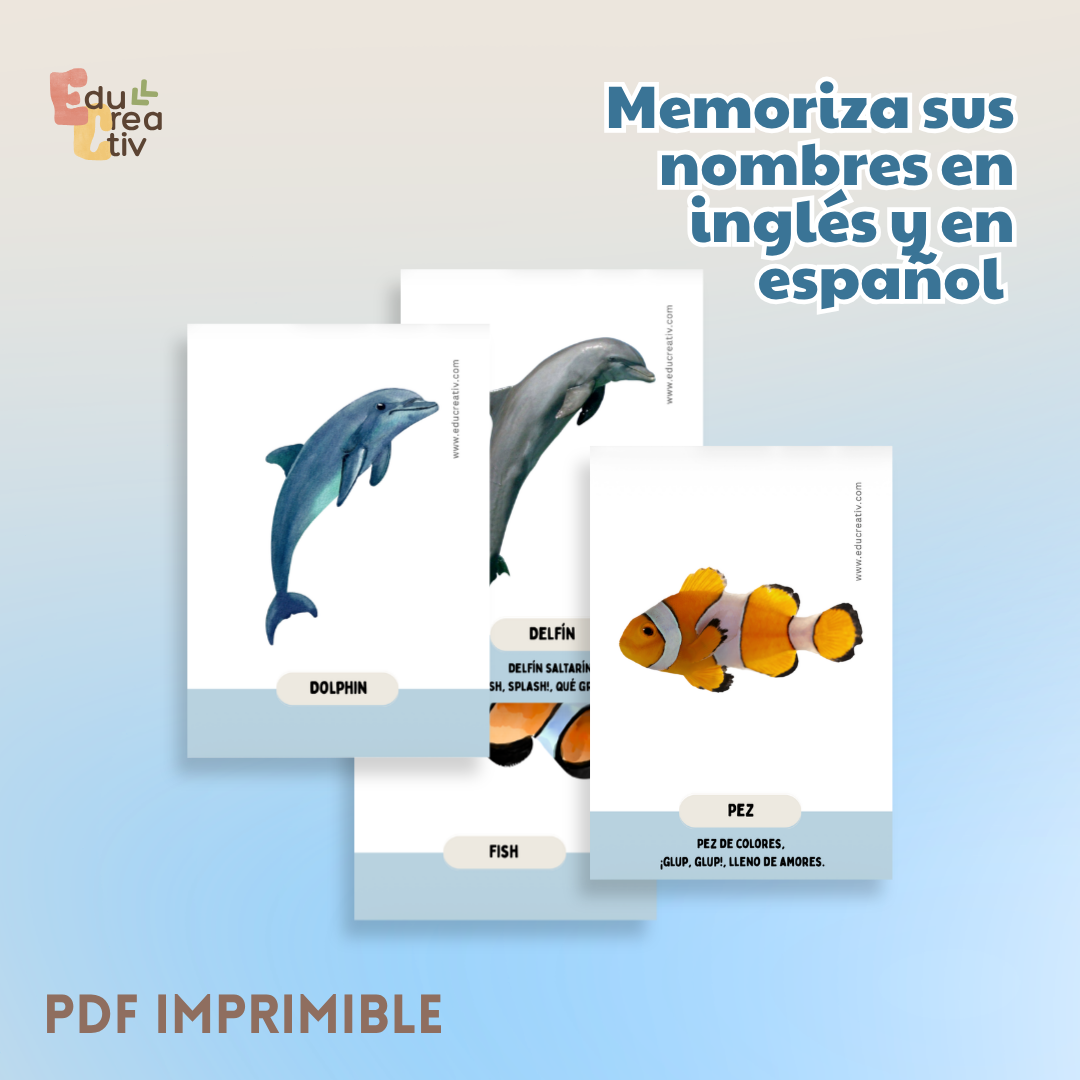 Set de flashcards DIGITAL: Animales del mar