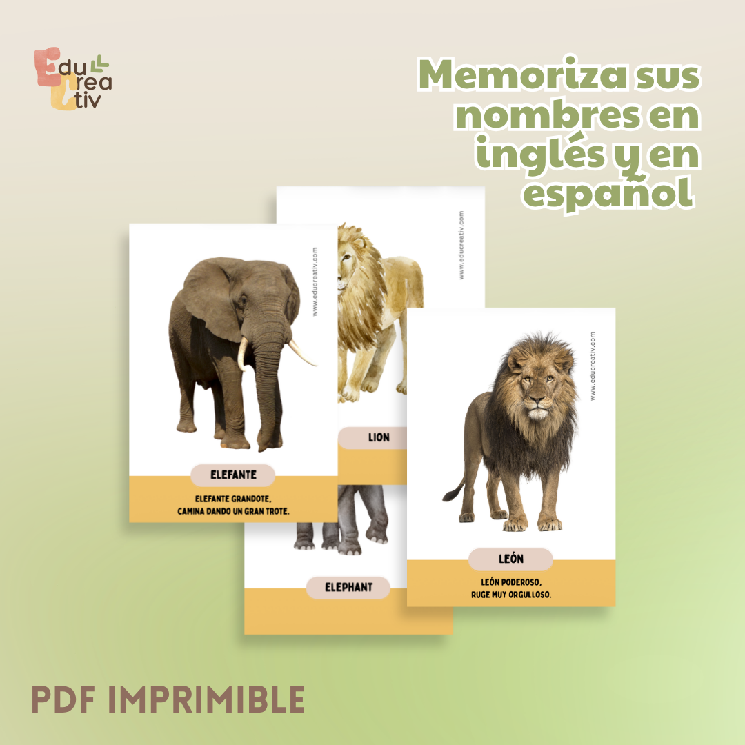 Set de flashcards DIGITAL: Animales salvajes