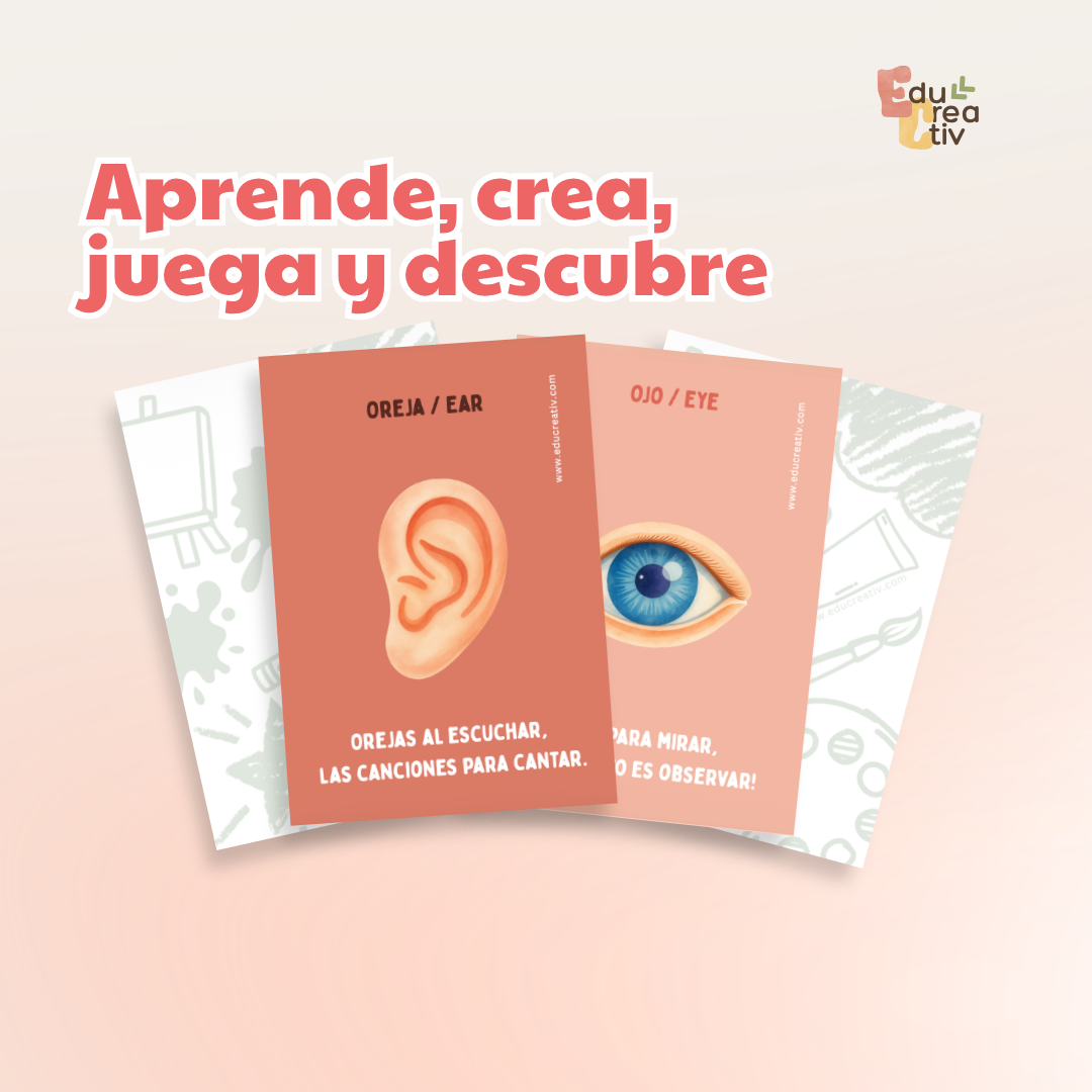 Set de flashcards DIGITAL: Partes del cuerpo