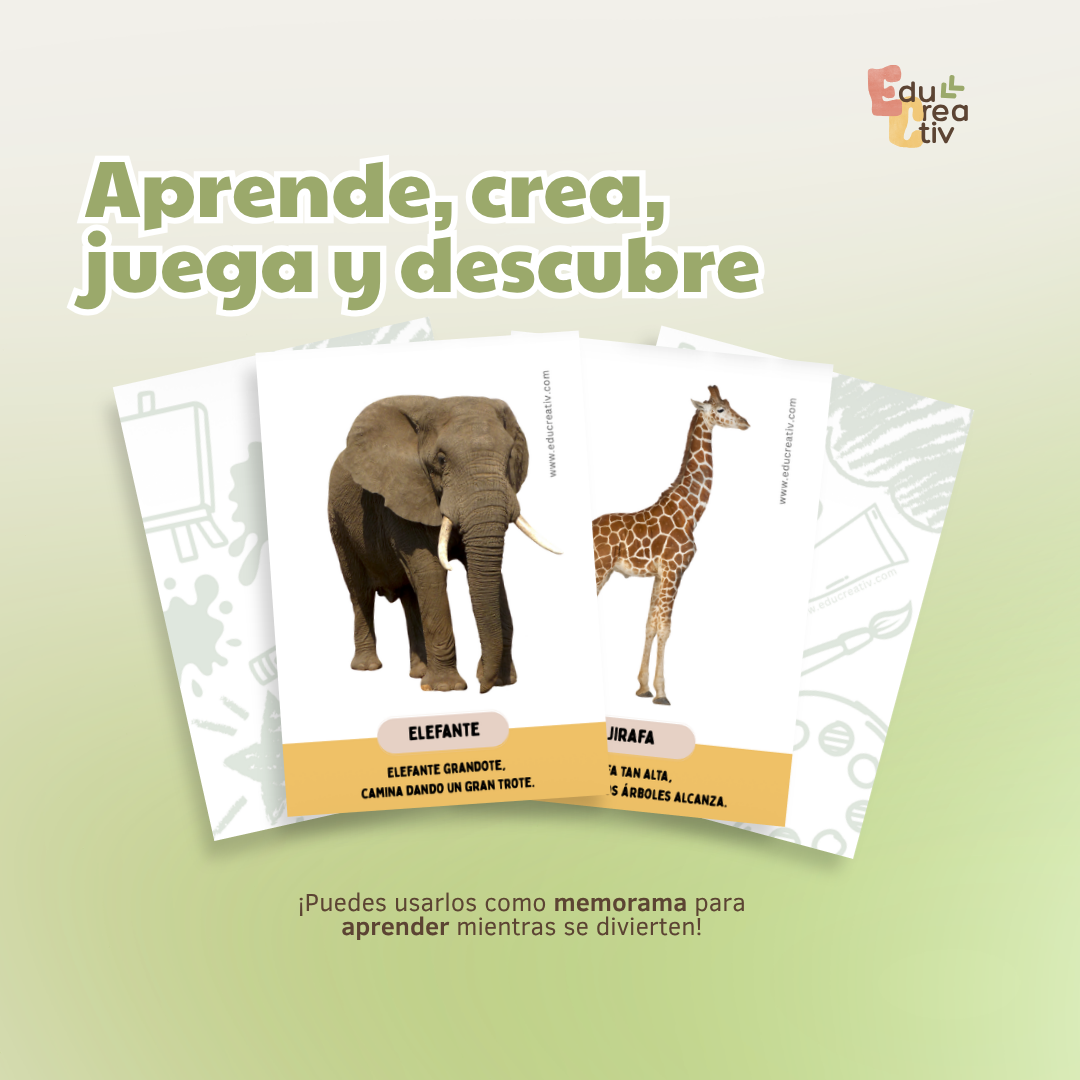 Set de flashcards DIGITAL: Animales salvajes