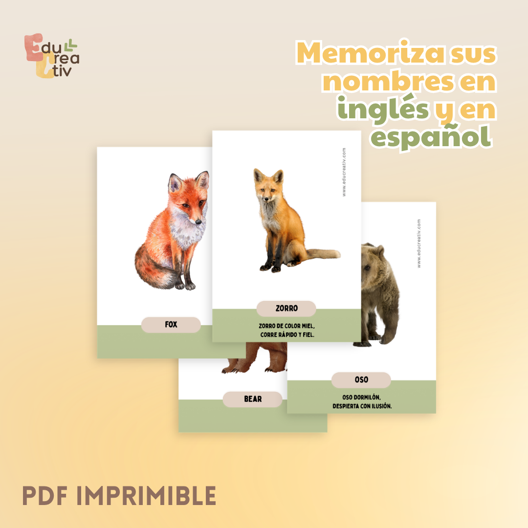 Set de flashcards DIGITAL: Animales del bosque