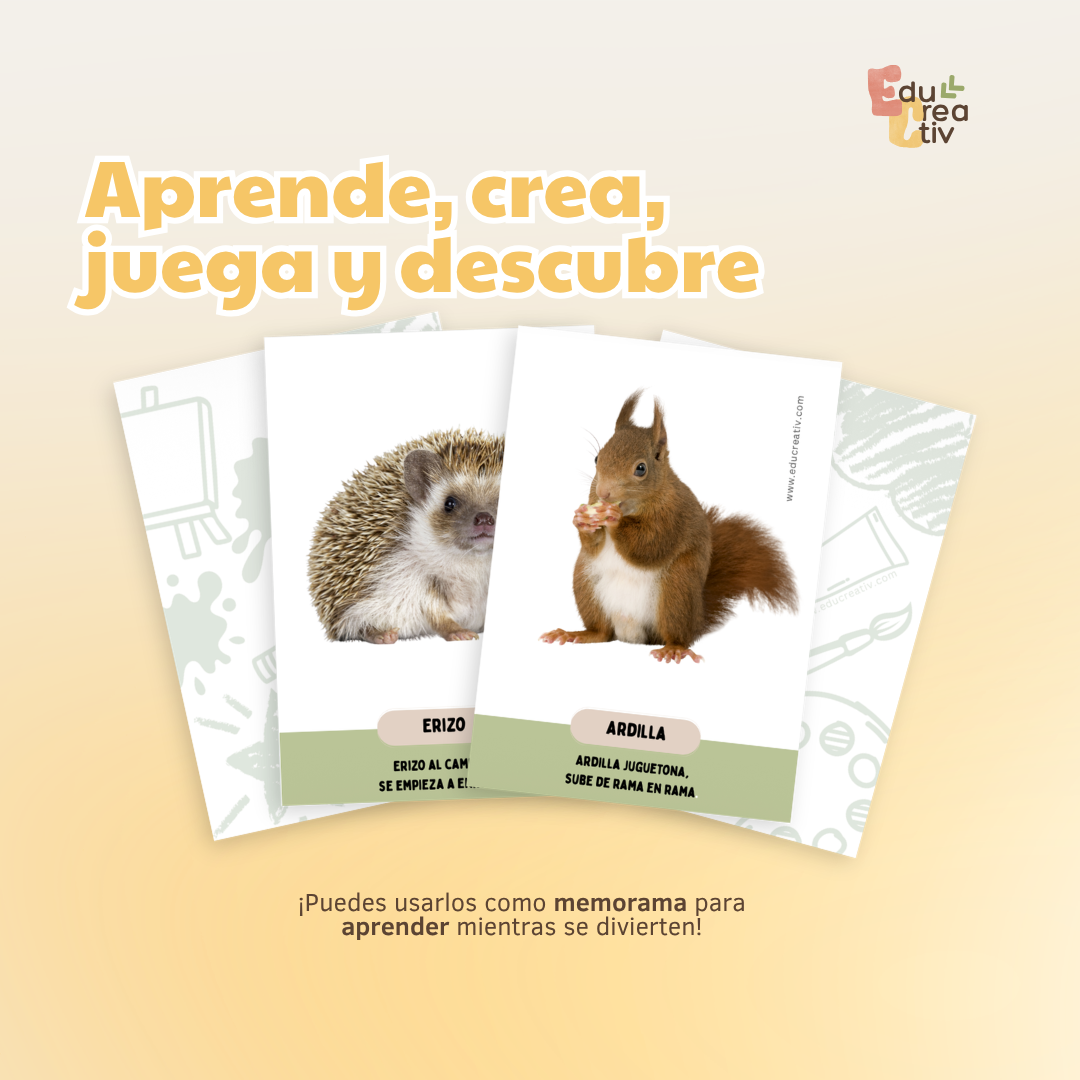 Set de flashcards DIGITAL: Animales del bosque