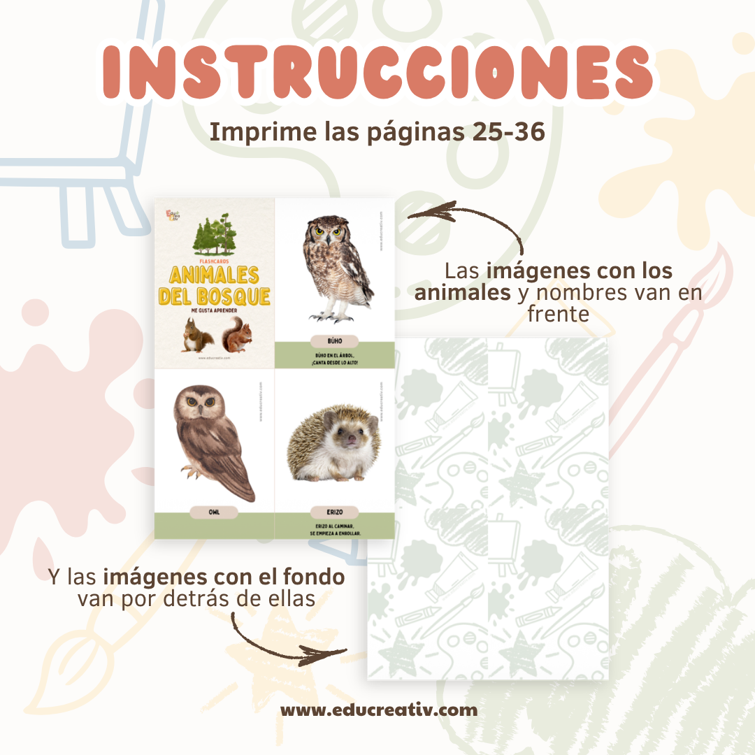 Set de flashcards DIGITAL: Animales del bosque